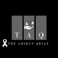 Virtual Legal Internship at The Amikus Qriae