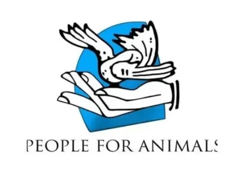Hiring Now: Animal Cruelty Response Officer at People for Animals, New Delhi