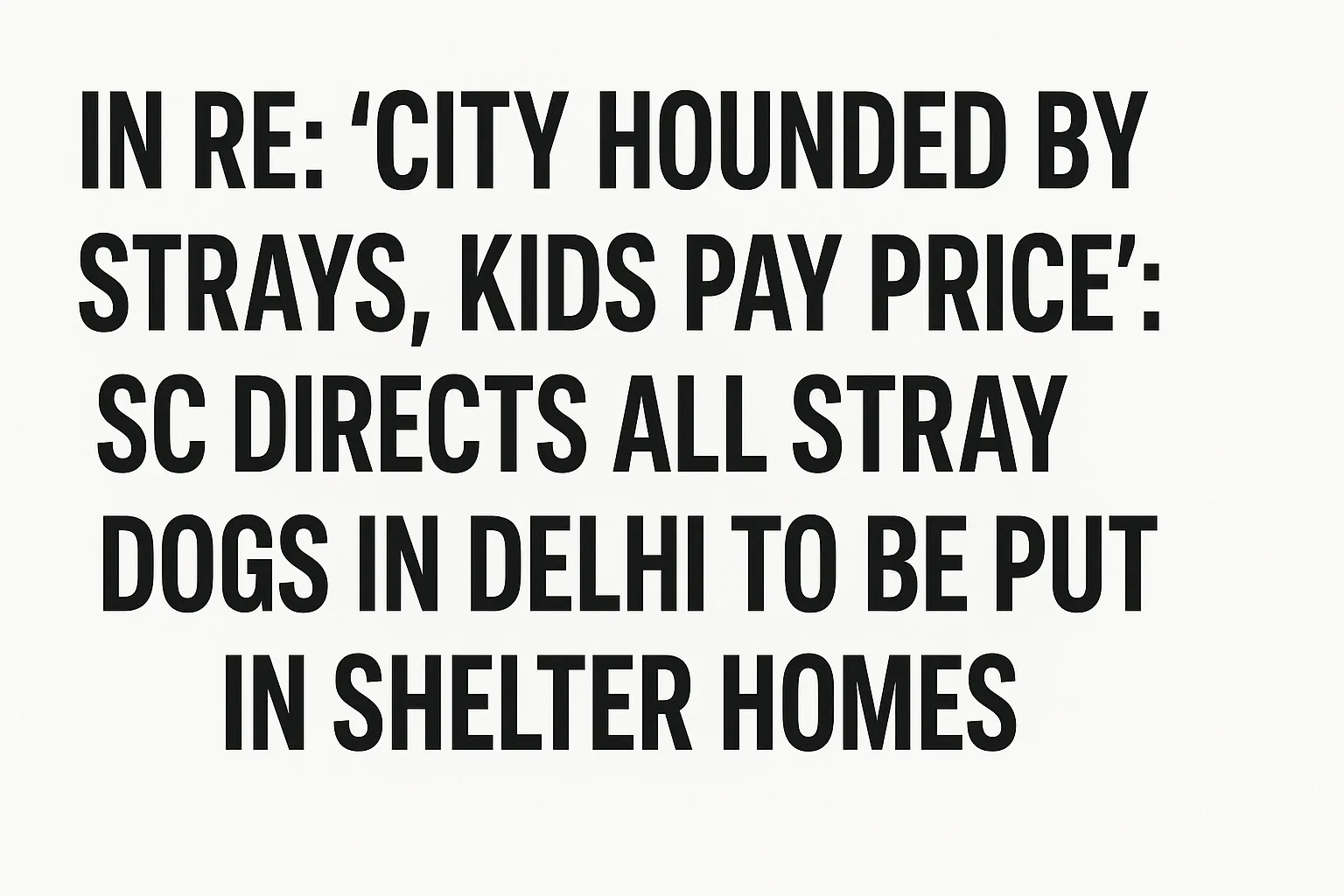 stray dogs delhi case